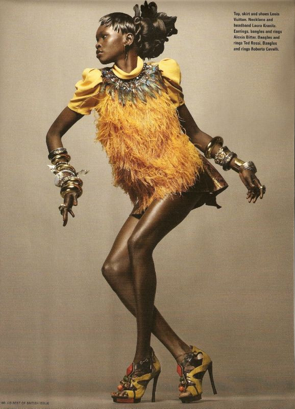 Photo of model Alek Wek - ID 202446