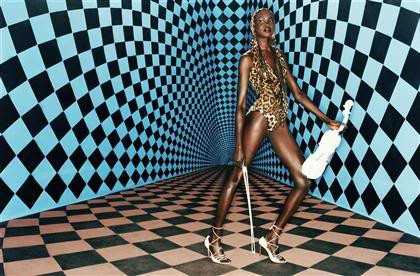 Photo of model Alek Wek - ID 209420