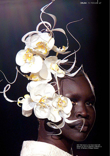 Photo of model Alek Wek - ID 210886