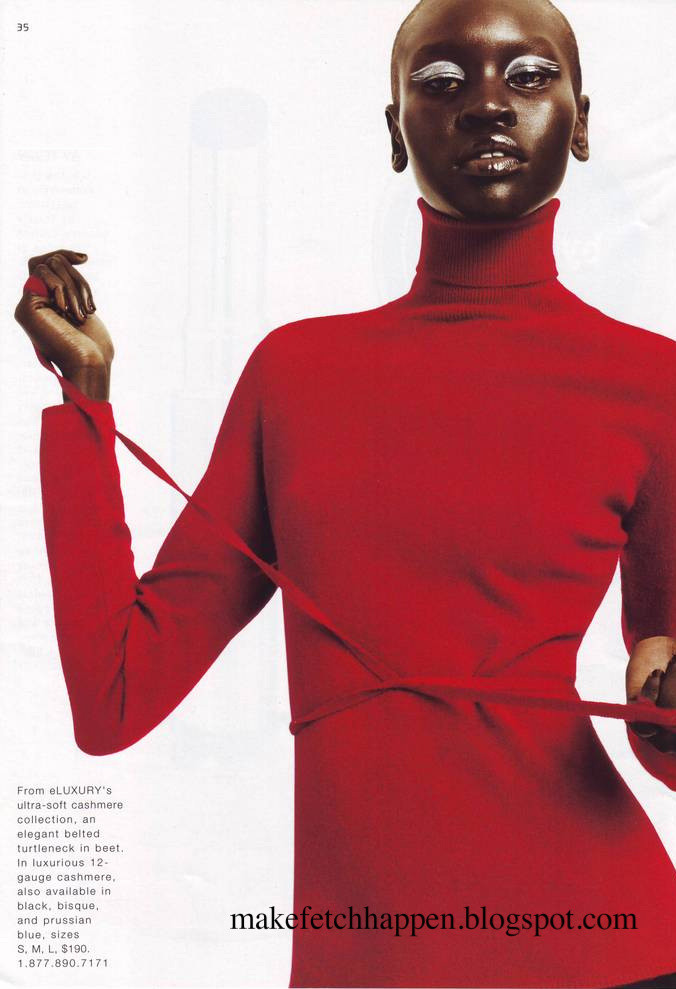 Photo of model Alek Wek - ID 210887