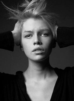 Photo of model Stella Maxwell - ID 236818