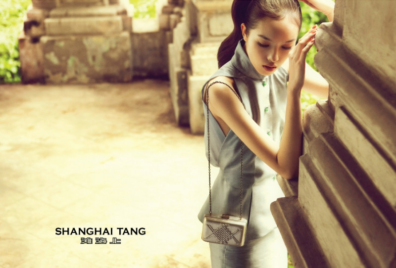 Photo of model Fei Fei Sun - ID 371546