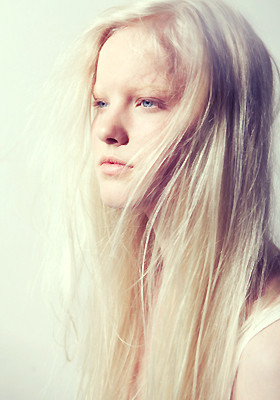 Photo of model Linn Arvidsson - ID 306655