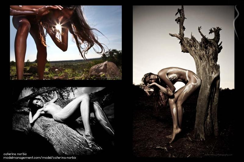 Photo of model Caterina Norbis - ID 342187