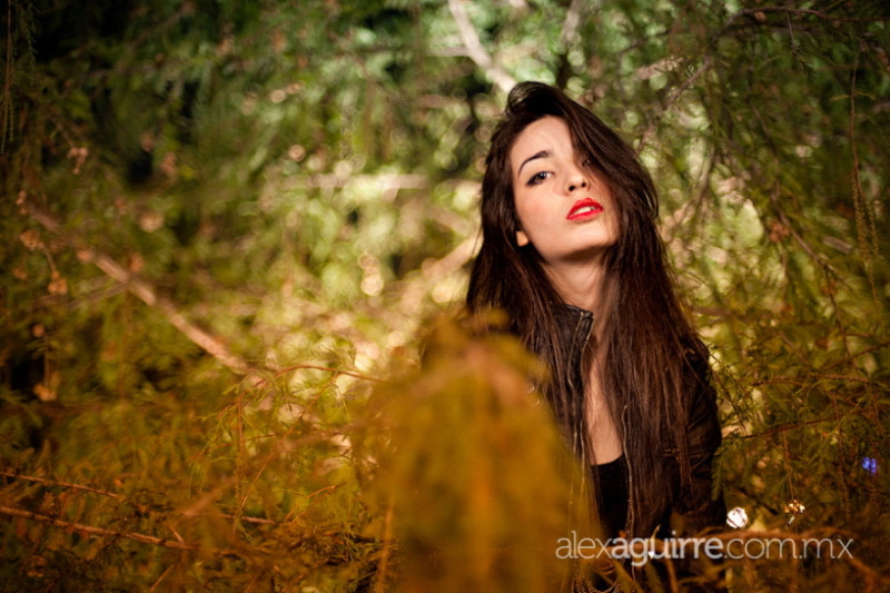 Photo of model Cristina Piccone - ID 326094