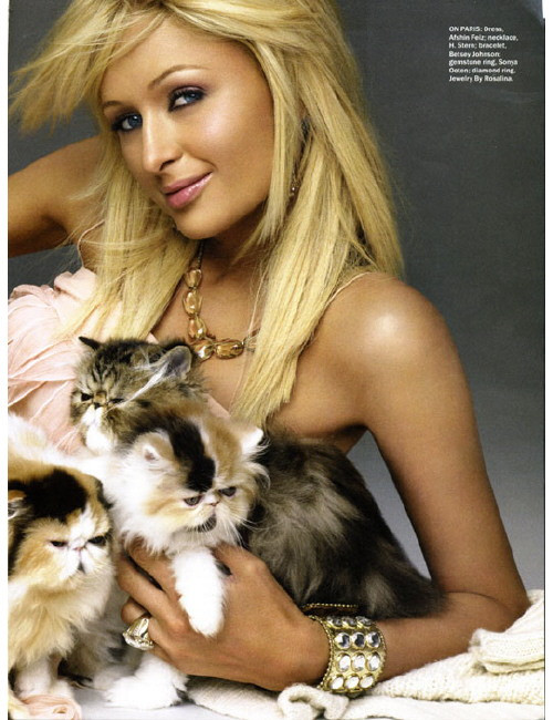 Photo of model Paris Hilton - ID 169410