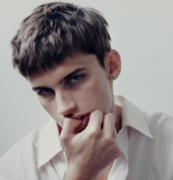 Giovanni Cumino