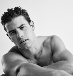 Frankie Cammarata