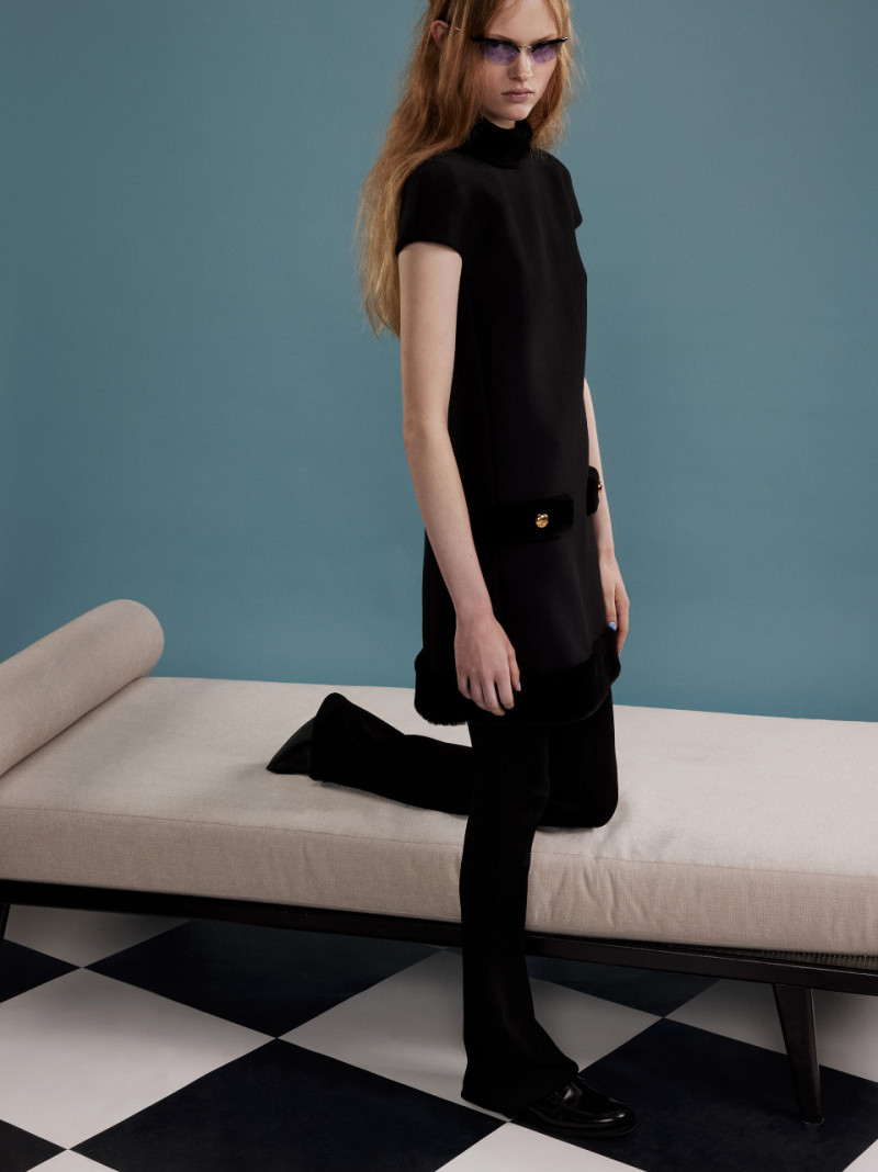 Photo of model Ava Shipp - ID 727244