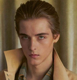 Maxim Modrovic