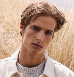 Noah Dore