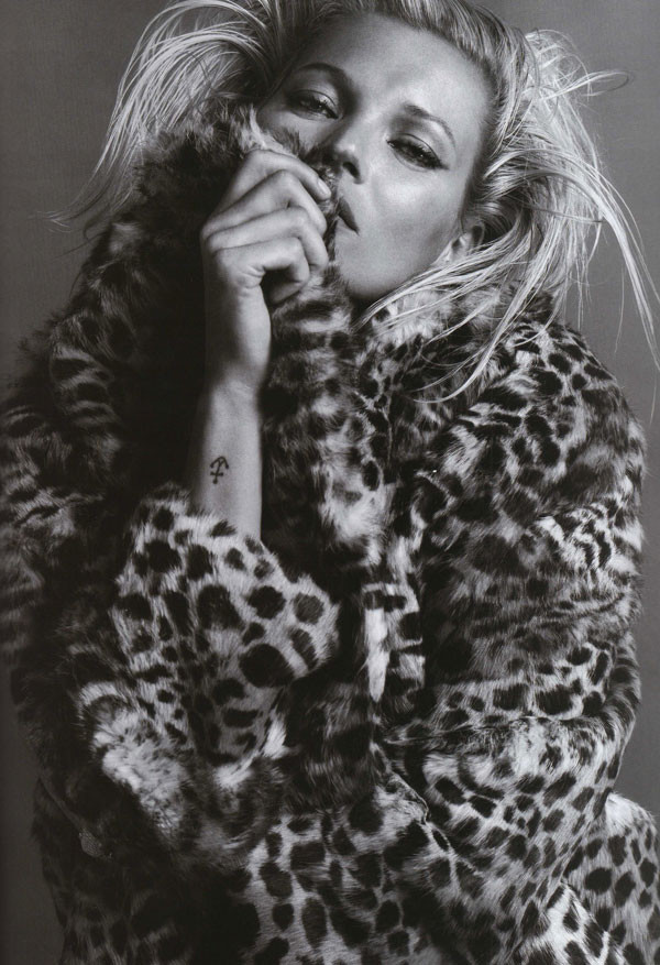 Photo of model Kate Moss - ID 232148