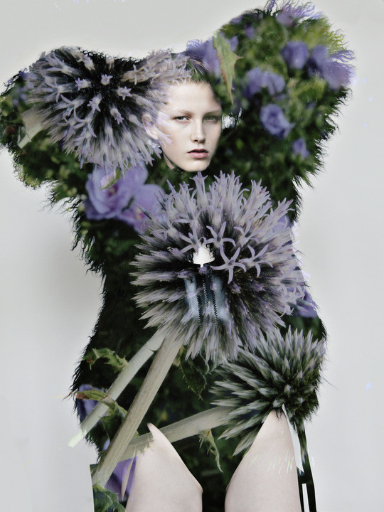 Photo of model Tessa Bruinsma - ID 540904