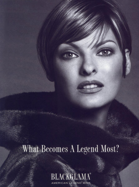 Photo of model Linda Evangelista - ID 43866