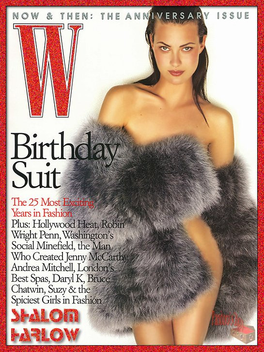 Photo of model Shalom Harlow - ID 45872