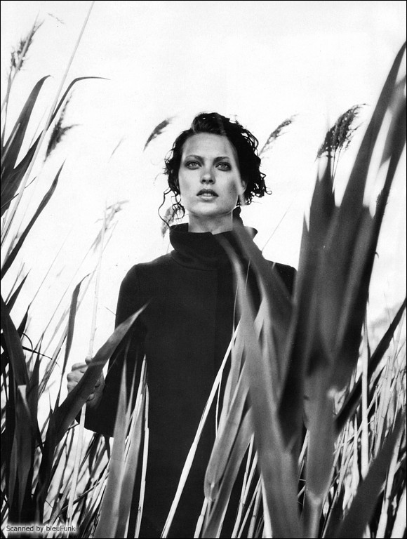 Photo of model Shalom Harlow - ID 46121