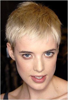 Photo of model Agyness Deyn - ID 121611