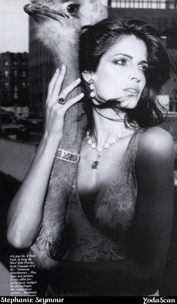 Photo of model Stephanie Seymour - ID 21709