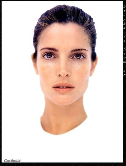 Photo of model Stephanie Seymour - ID 21746