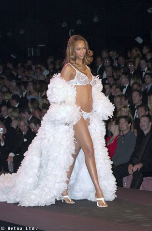 Photo of model Tyra Banks - ID 10410