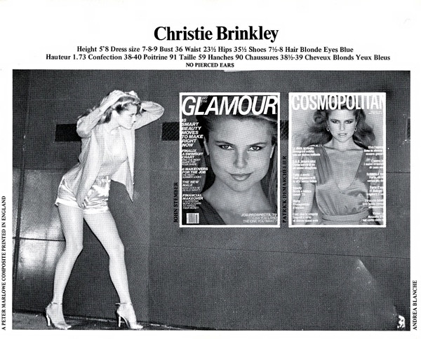 Photo of model Christie Brinkley - ID 178746