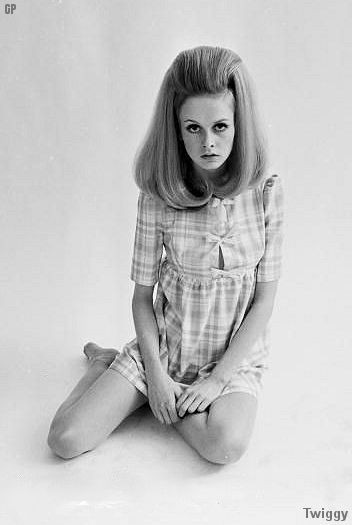 Photo of model Twiggy Lawson - ID 181042