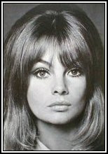 Photo of model Jean Shrimpton - ID 128544