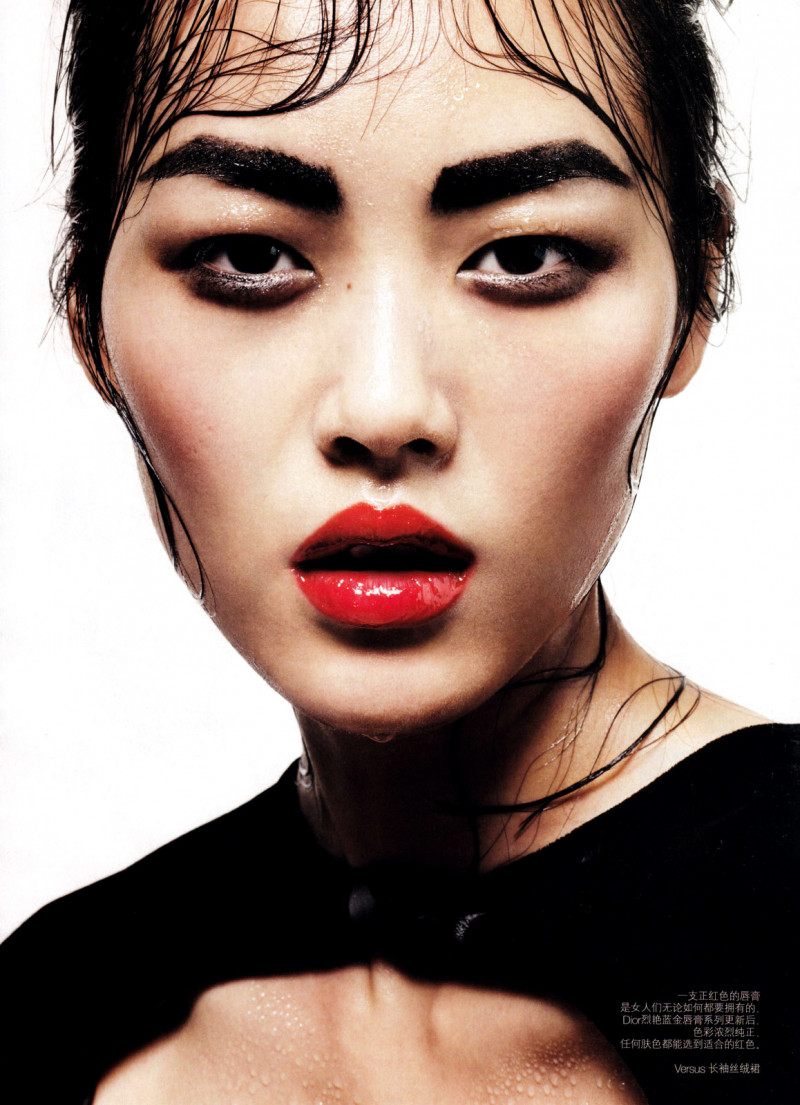 Photo of model Liu Wen - ID 310007