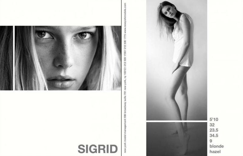 Photo of model Sigrid Agren - ID 156297