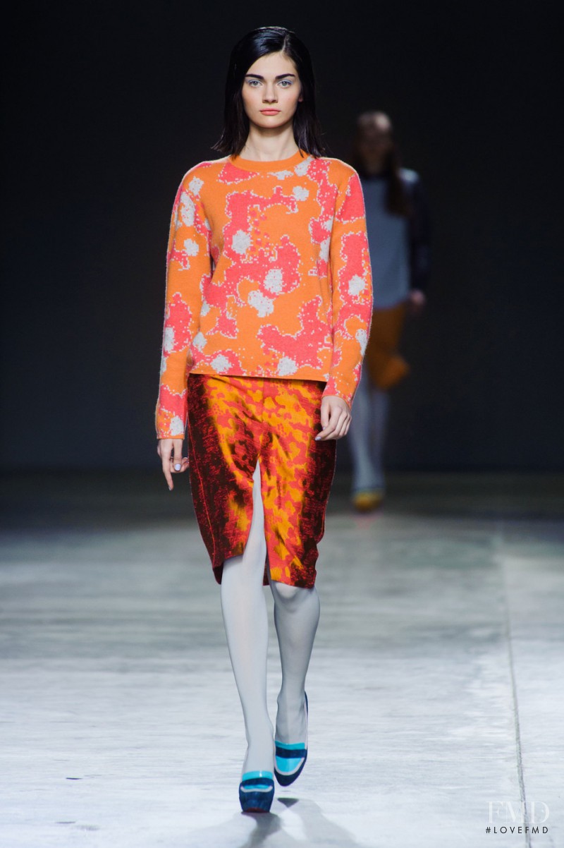 Michael van der Ham fashion show for Autumn/Winter 2014