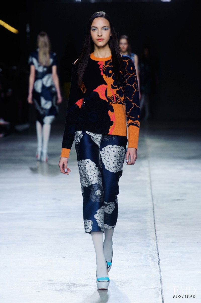 Michael van der Ham fashion show for Autumn/Winter 2014