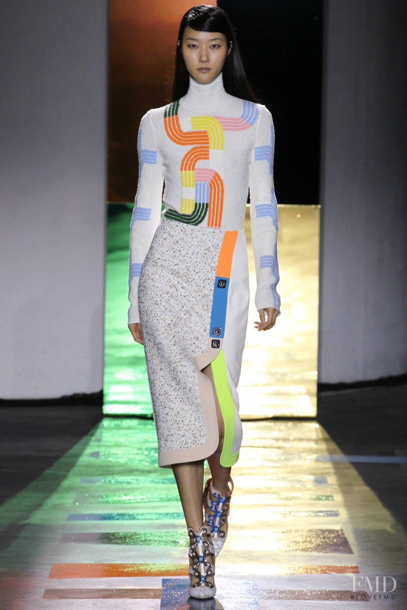 Peter Pilotto fashion show for Autumn/Winter 2015