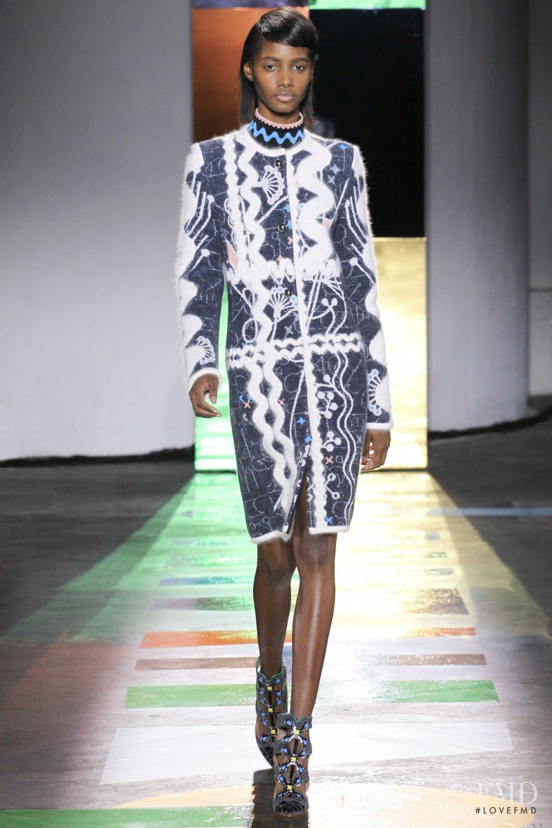 Peter Pilotto fashion show for Autumn/Winter 2015