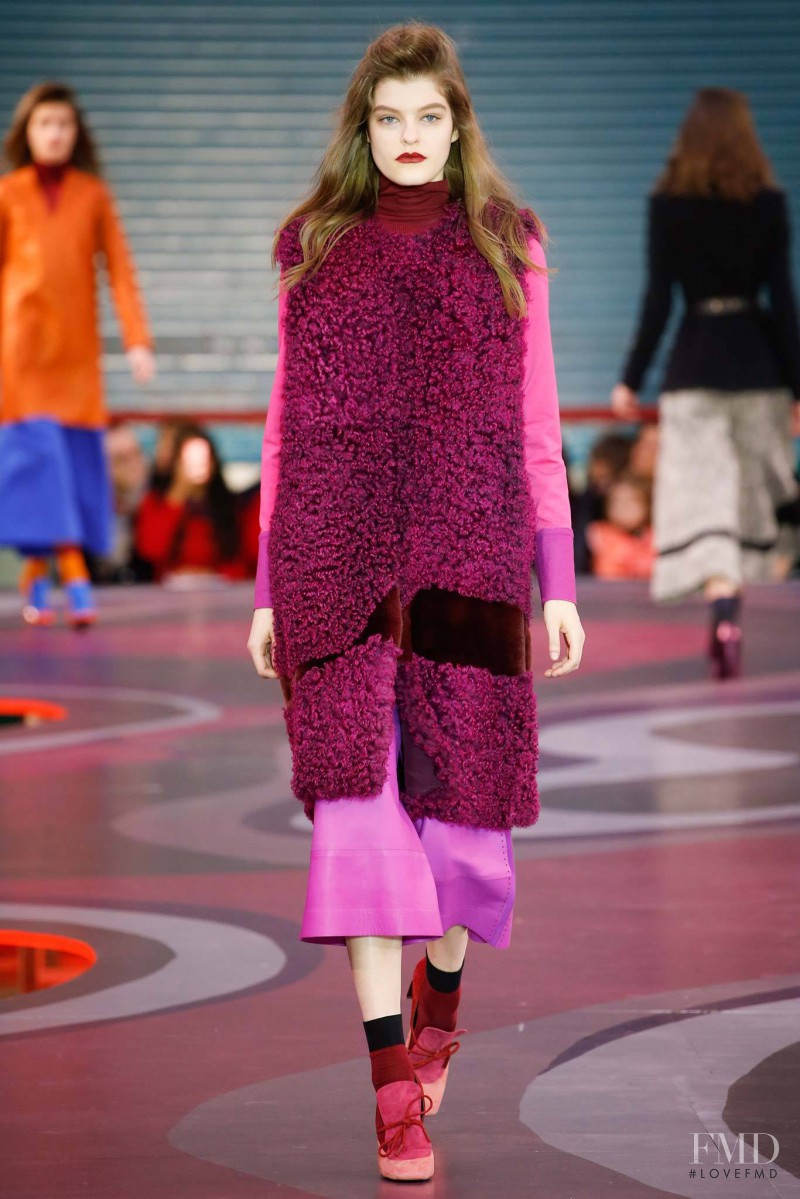 Roksanda Ilincic fashion show for Autumn/Winter 2015