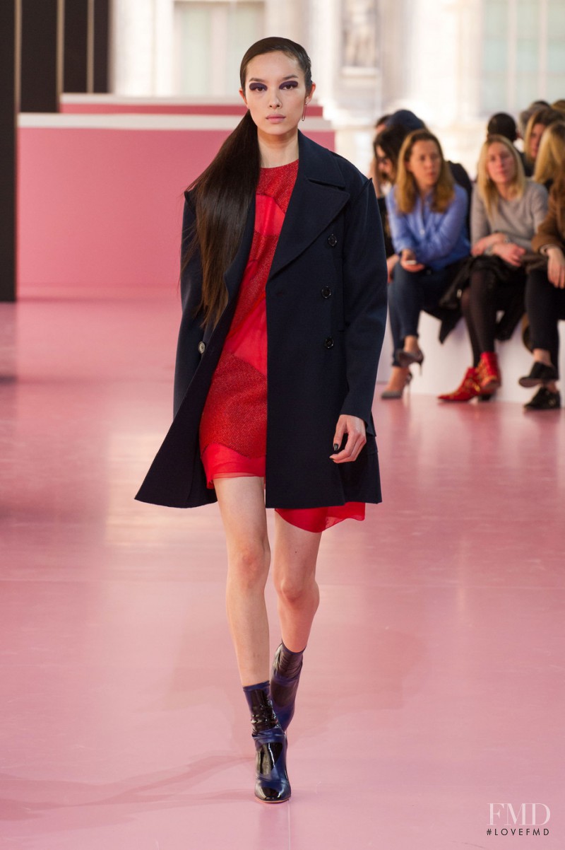 Fei Fei Sun featured in  the Christian Dior fashion show for Autumn/Winter 2015