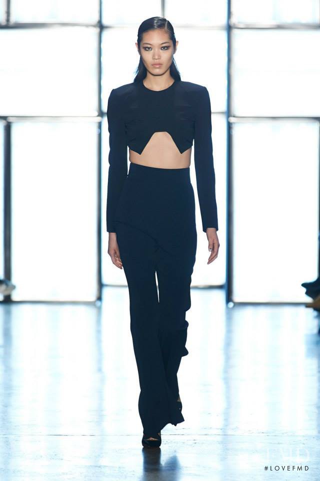 Cushnie Et Ochs fashion show for Autumn/Winter 2015