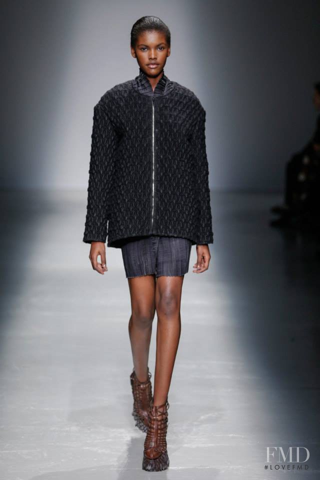 Iris Van Herpen fashion show for Autumn/Winter 2015