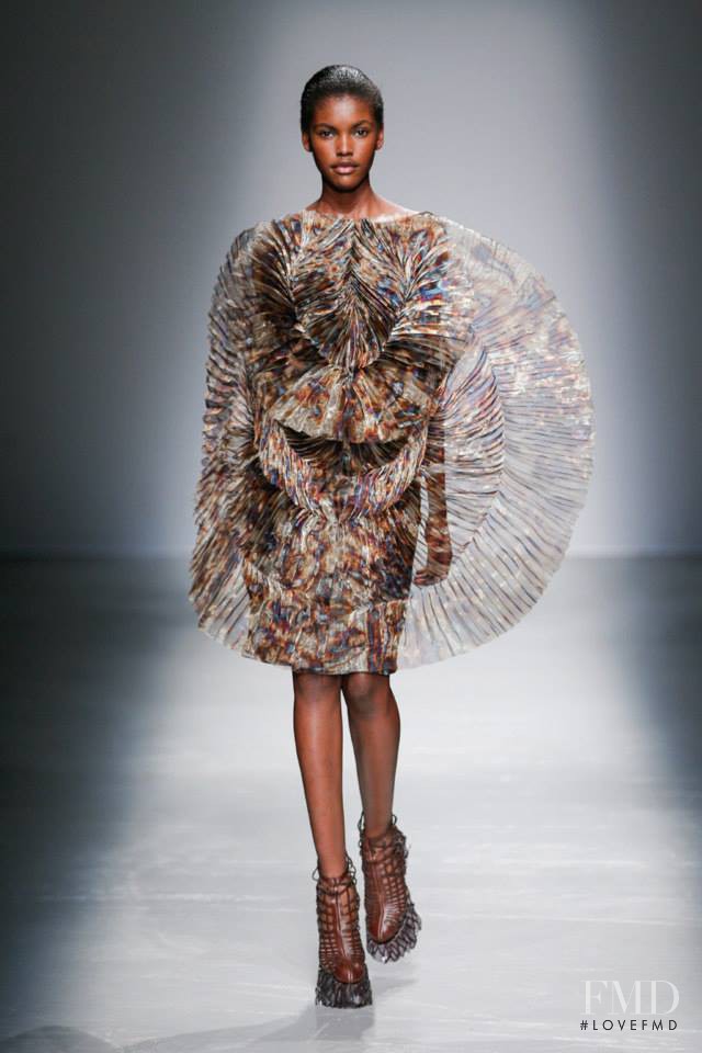 Iris Van Herpen fashion show for Autumn/Winter 2015