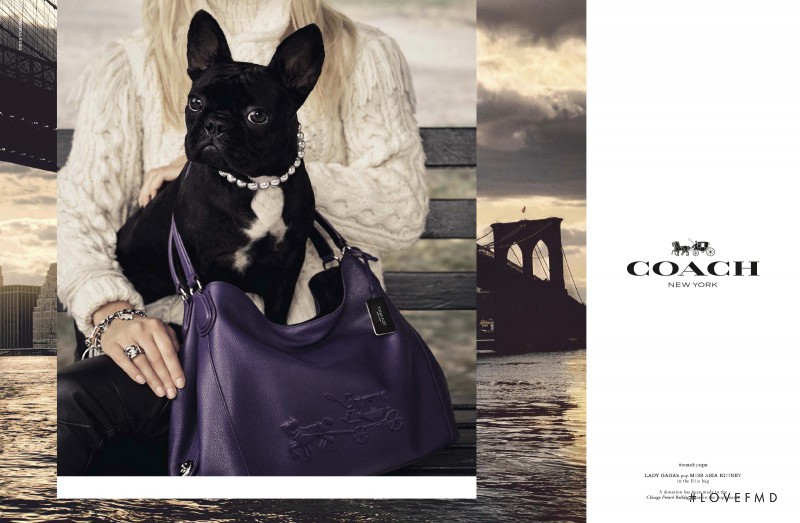 Coach advertisement for Autumn/Winter 2015