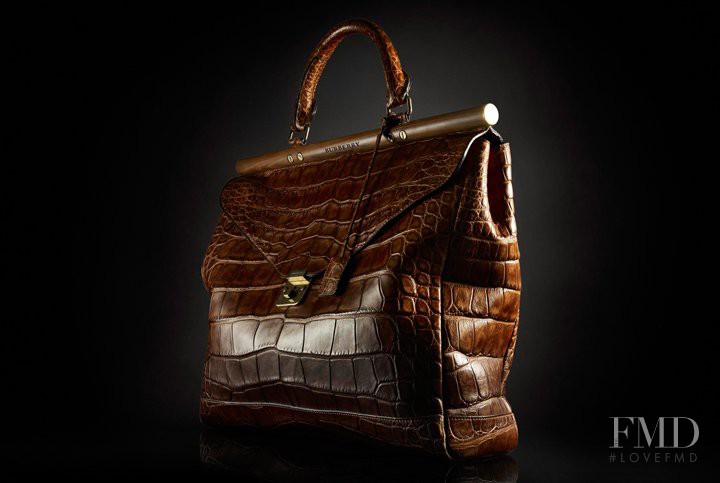 Burberry Accessories Collection lookbook for Autumn/Winter 2011