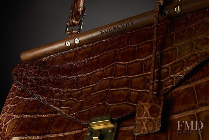 Burberry Accessories Collection lookbook for Autumn/Winter 2011