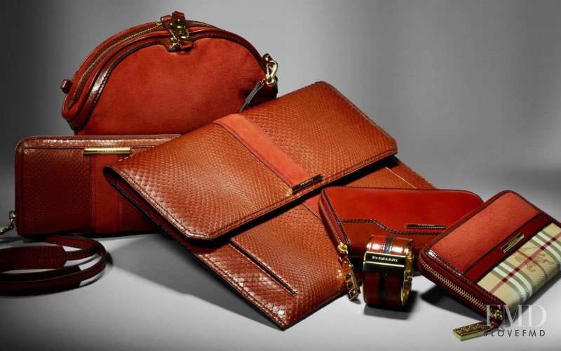 Burberry Accessories advertisement for Autumn/Winter 2012