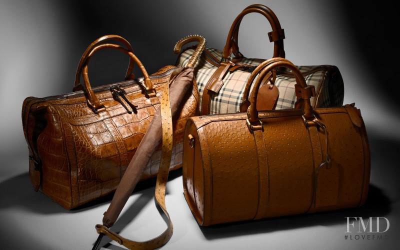 Burberry Accessories advertisement for Autumn/Winter 2012