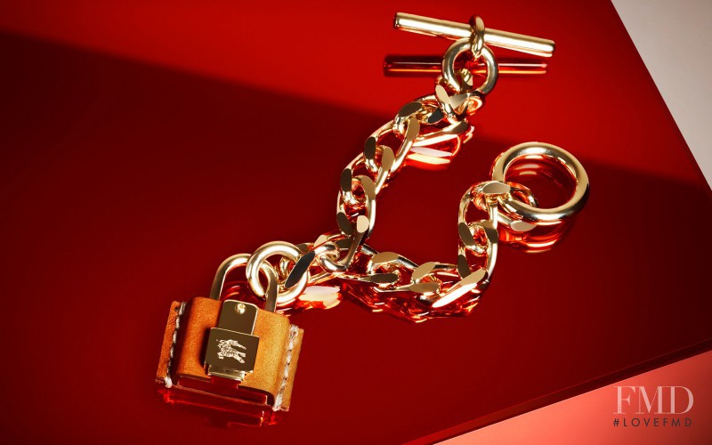 Burberry Accessories Collection advertisement for Spring/Summer 2013