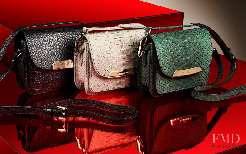 Burberry Accessories Collection advertisement for Spring/Summer 2013