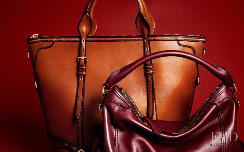 Burberry Accessories Collection advertisement for Autumn/Winter 2013