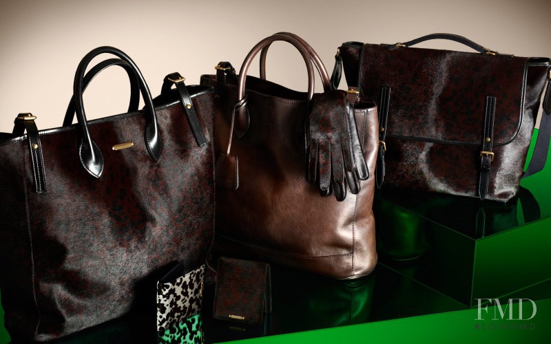 Burberry Accessories Collection advertisement for Autumn/Winter 2013