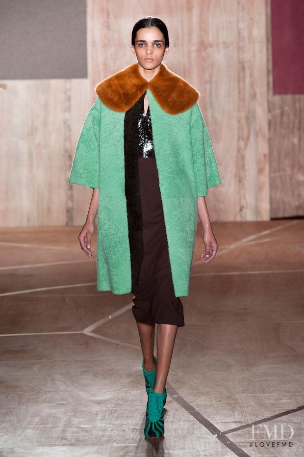 Roksanda Ilincic fashion show for Autumn/Winter 2013