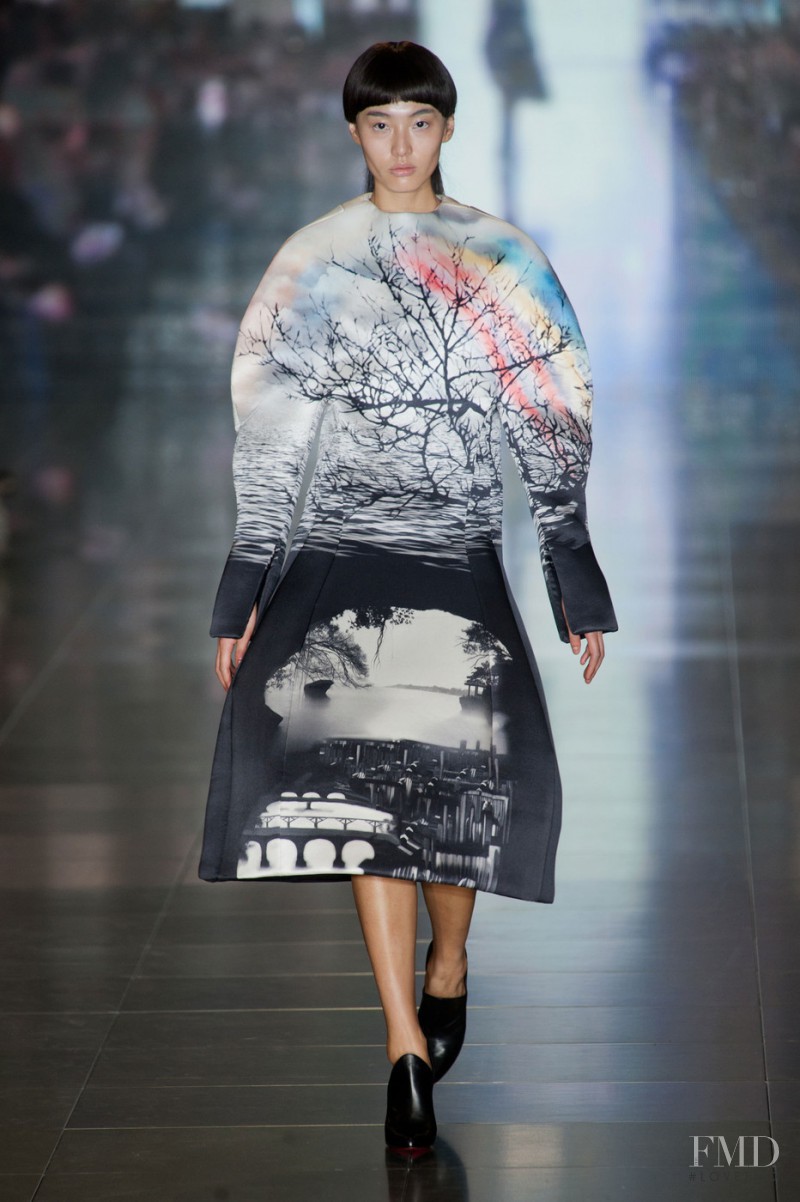 Mary Katrantzou fashion show for Autumn/Winter 2013