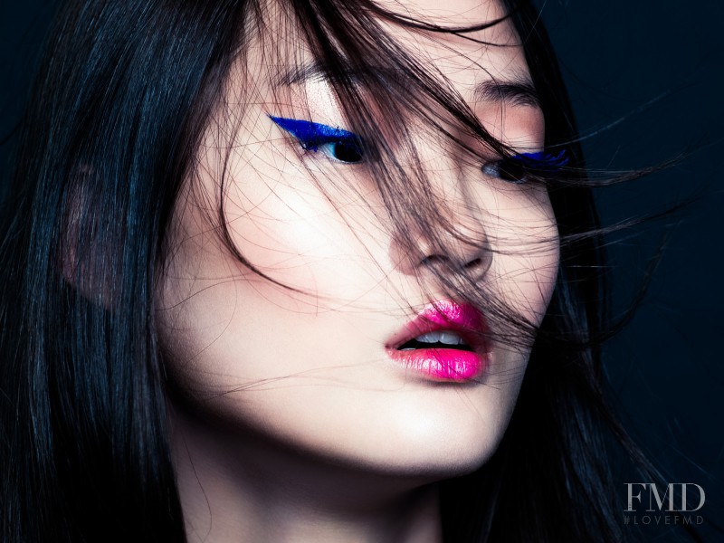 Hyun Ji Shin featured in  the Dior Beauty advertisement for Christmas 2014